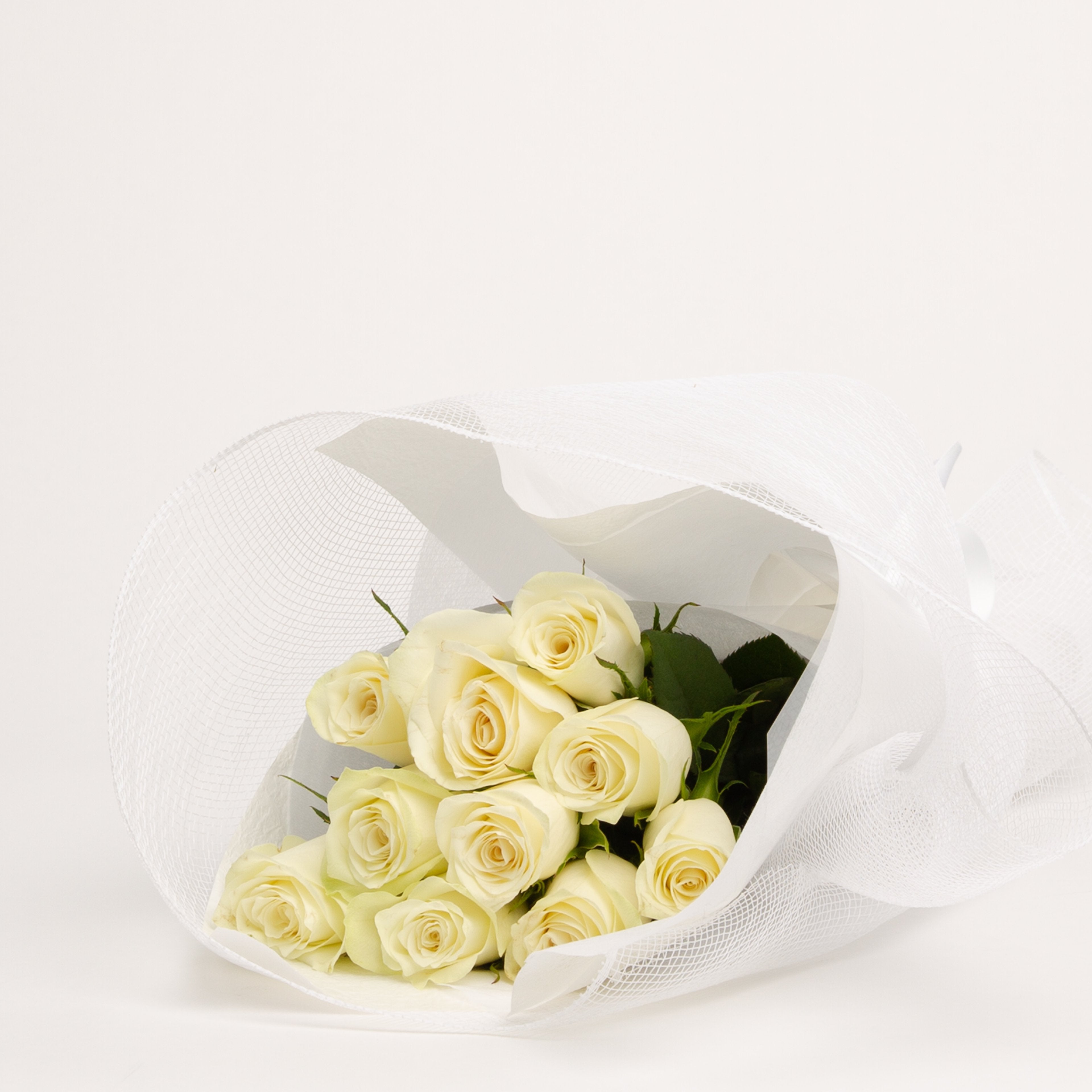 40cm Roses