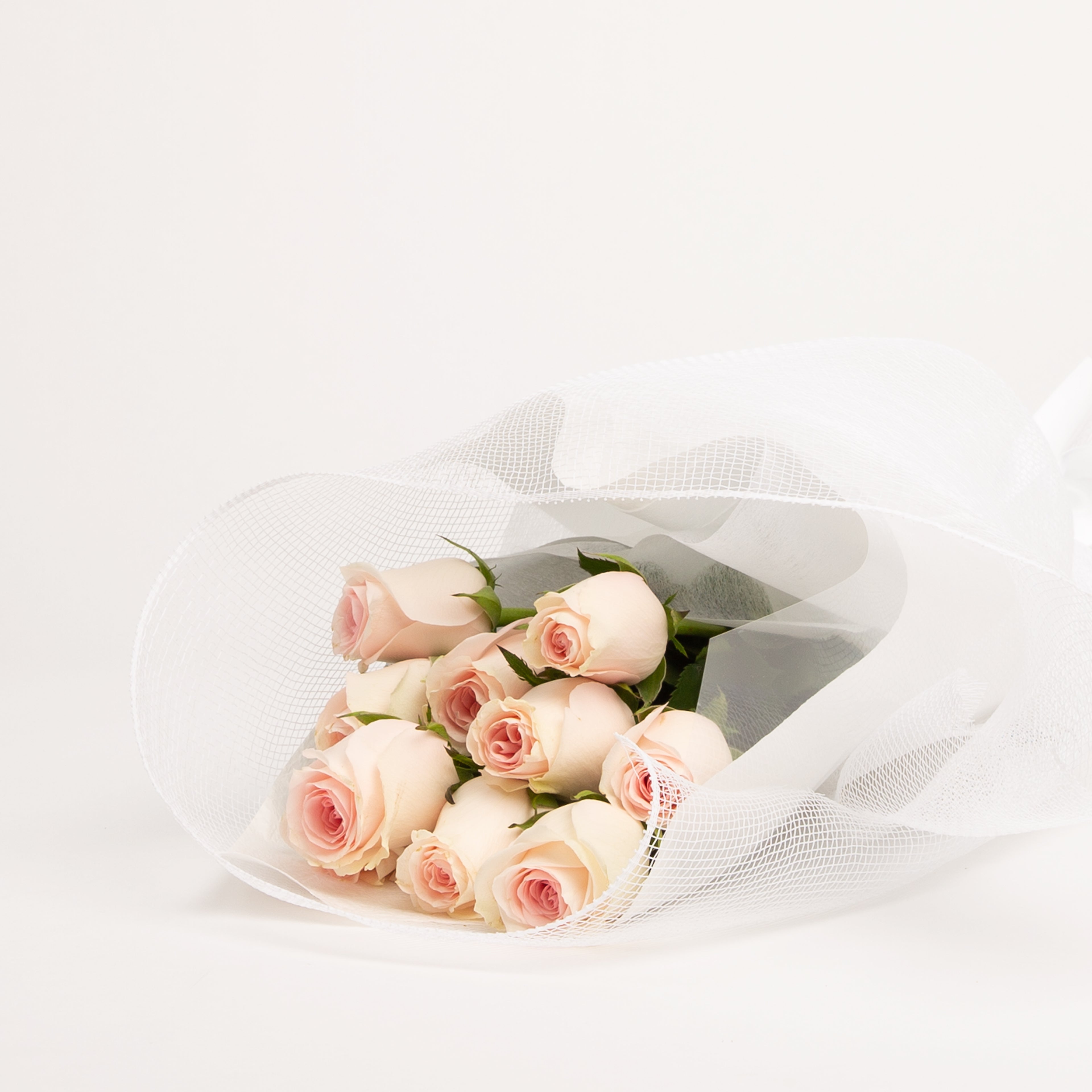 Dusky Pink Rose