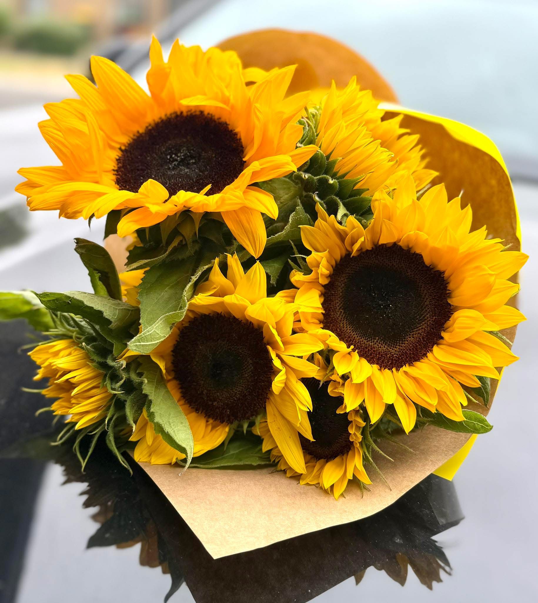 Sunflowers