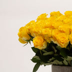 40cm  Roses