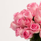 40cm  Roses