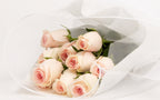 Dusky Pink Rose