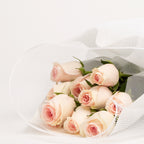 Dusky Pink Rose