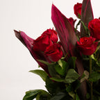40cm  Roses