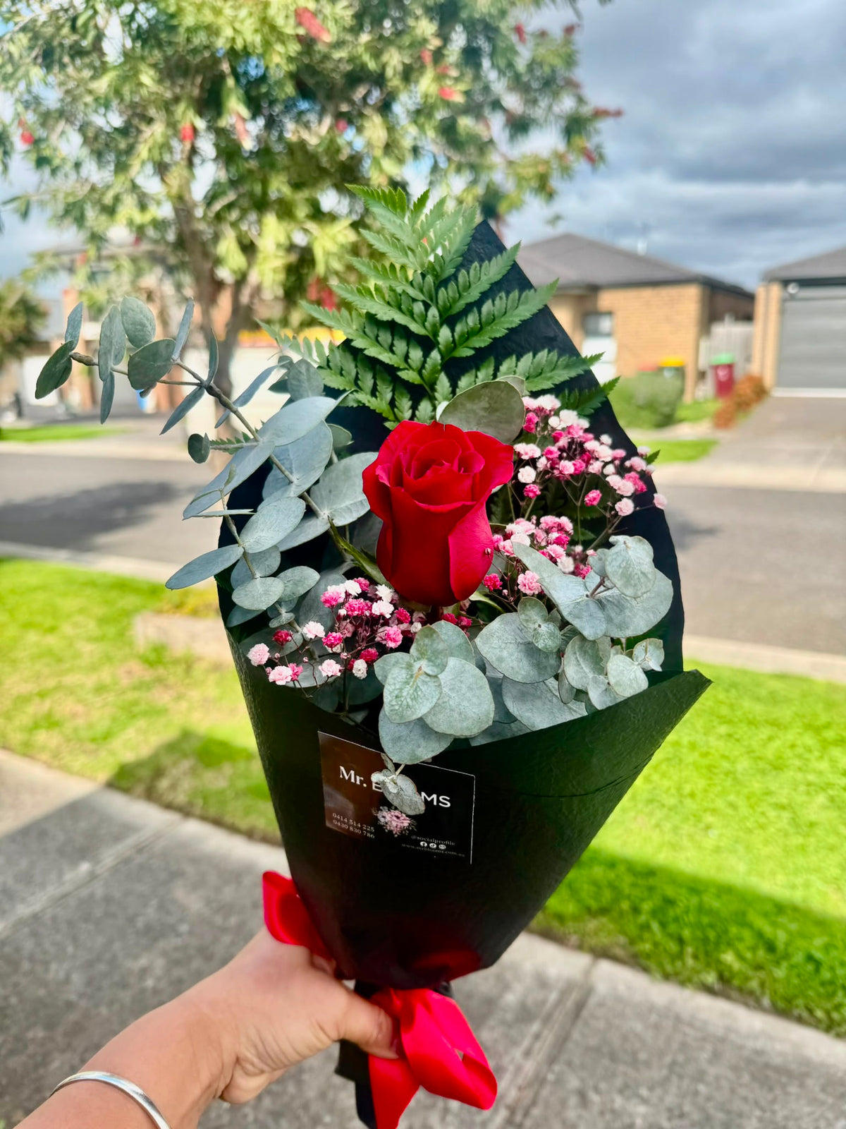 Single Red Rose Elegance