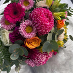 Vibrant Bloom