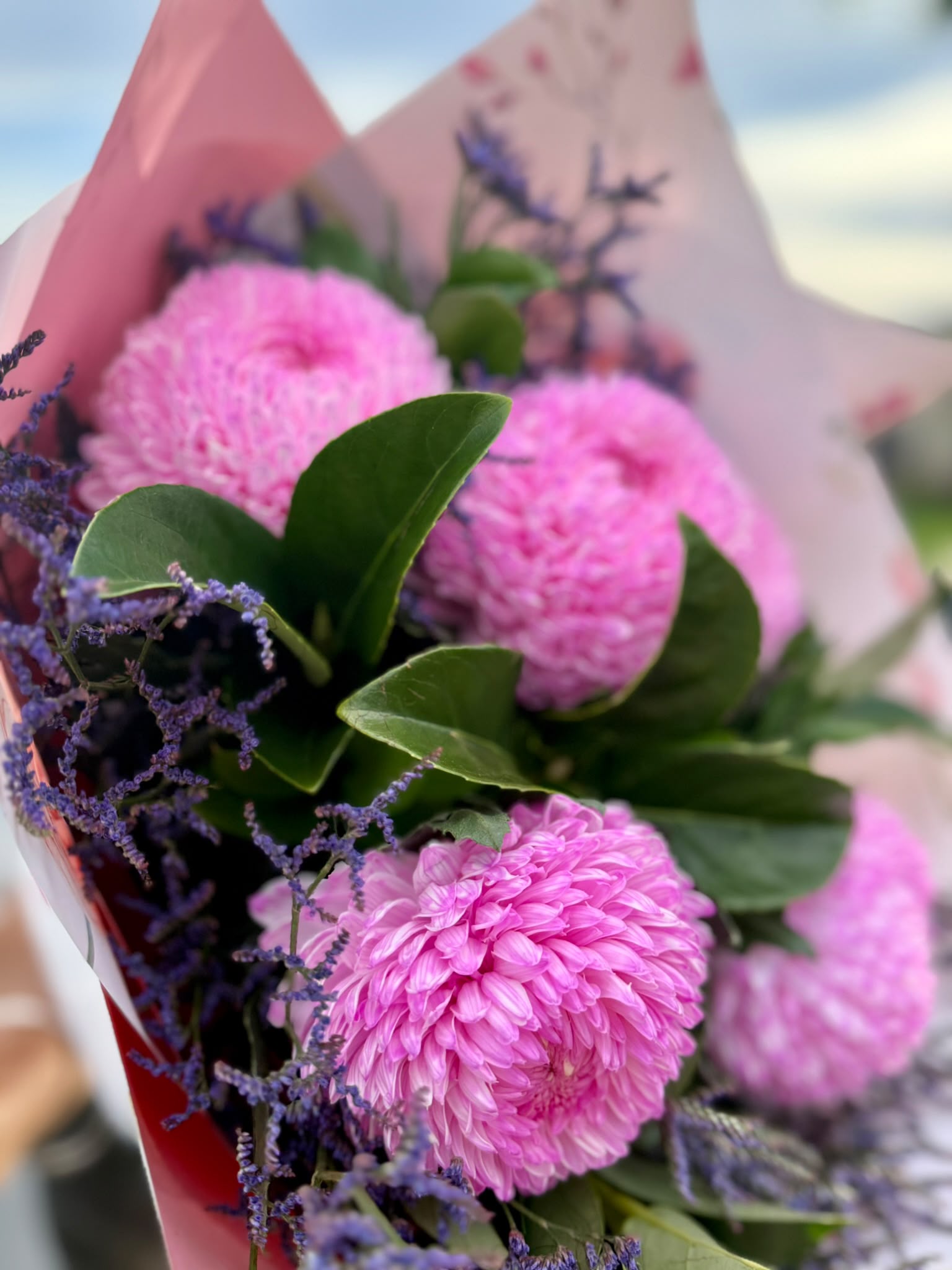 Elegant Pink Pom Pom Bouquet